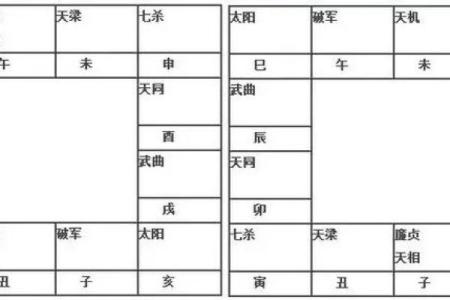 2025年4月22日未时男命紫微斗数全解盘
