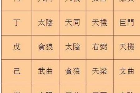 2025年4月12日戌时男命紫微斗数全解盘
