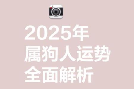 2025属狗每月运势_2025属狗每月运势运程详解