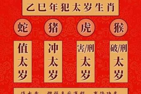 属猪的2025运势怎么样_2025年属猪人运势详解财运事业爱情全解析