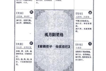 2025年4月6日酉时男命紫微斗数全解盘