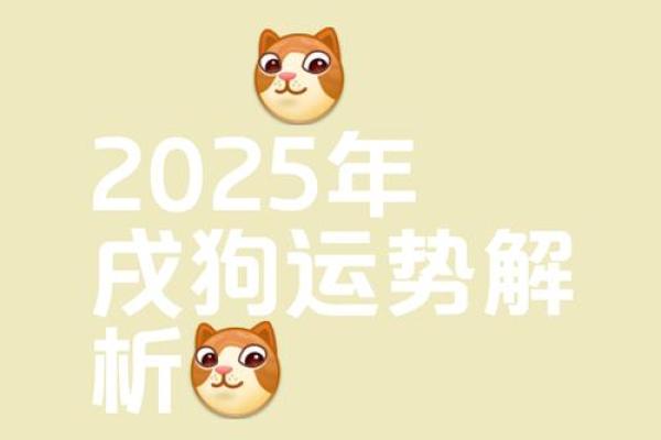 2025年属狗男运势解析婚姻与事业双丰收