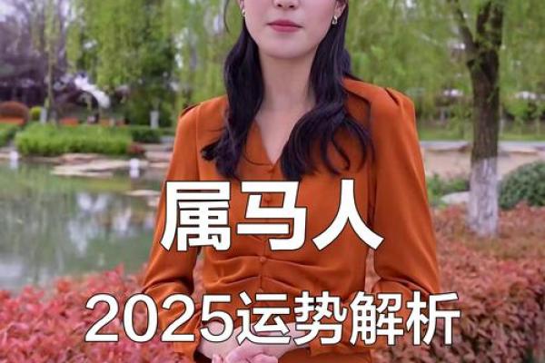 属马人2025年龙年运势 90属马2025必有一难