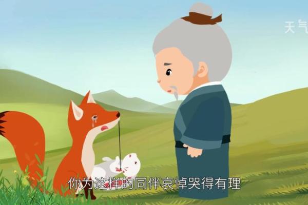 “兔死狐悲”是代表哪个生肖，兔死狐悲打一生肖答案解释释义落实