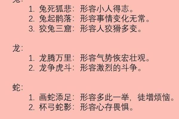 “兔死狐悲”是代表哪个生肖，兔死狐悲打一生肖答案解释释义落实