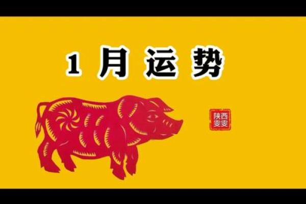 属猪男2025年全年运势及运程_属猪男2025年全年运势及运程如何
