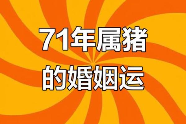 71年属猪2023年每月运势详解及运势提升指南