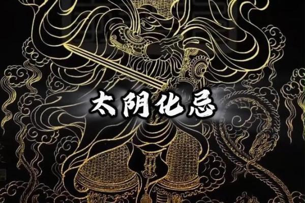 2025年4月30日酉时女命紫微斗数全解盘