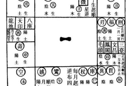 2025年4月5日未时男命紫微斗数全解盘