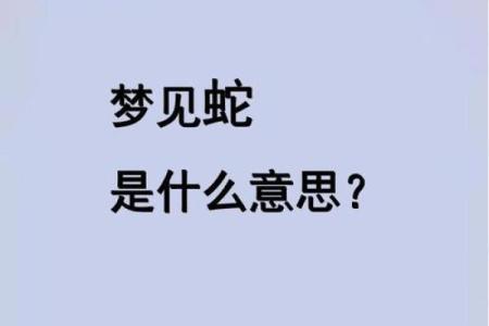 梦见猫吃蛇是什么预兆