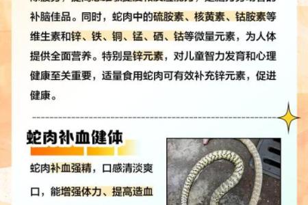 梦到吃蛇肉预示着什么