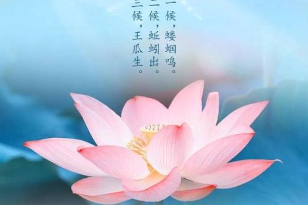 2016年立夏 2016年立夏