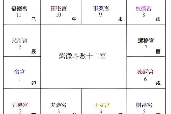 2025年4月6日丑时男命紫微斗数全解盘