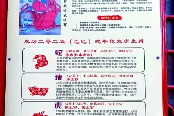 生肖属猪2025年运势_2025年生肖属猪运势详解财运事业爱情全面解析