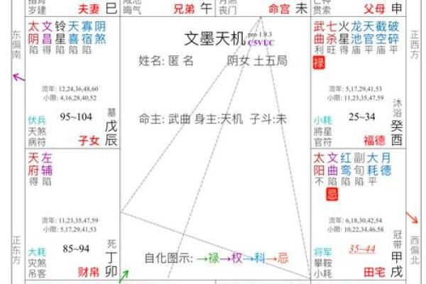 2025年4月3日戌时女命紫微斗数全解盘