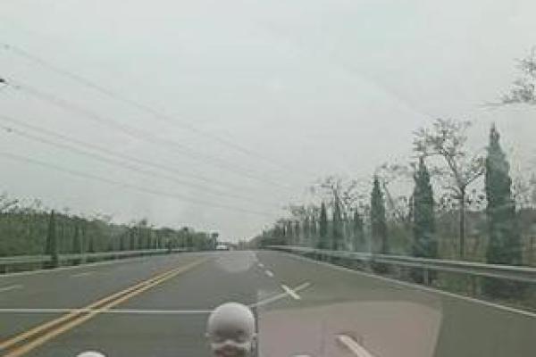 “穷途末路”打一个生肖动物，穷途末路代表什么生肖答案解释释义落实