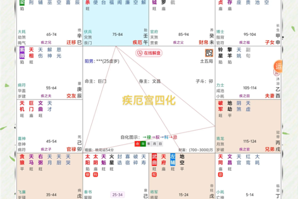 2025年4月13日丑时女命紫微斗数全解盘