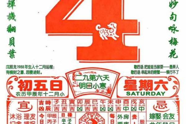 2025年4月19日戌时女命紫微斗数全解盘