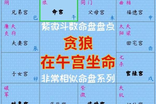 2025年4月7日午时男命紫微斗数全解盘