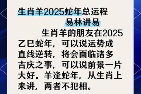 2027年属羊人的全年运势详解 2027年属羊人全年运势详解事业财运健康全解析
