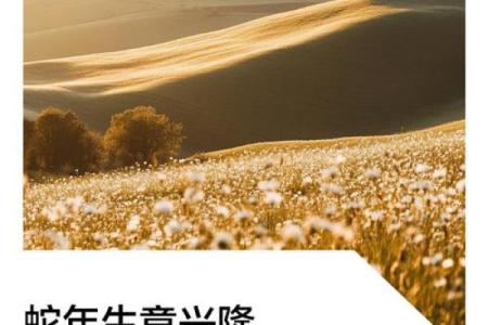 2025年开业最旺的日子和吉时