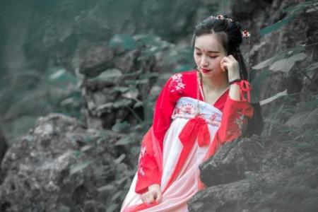 红袖添香是什么生肖(红袖添香的动物打一生肖)