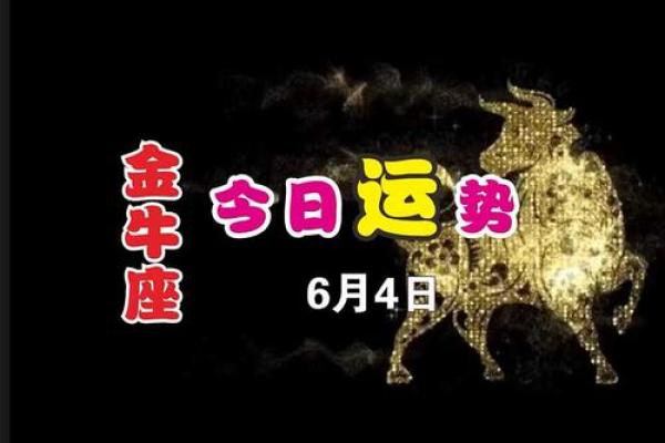 今日运势金牛座