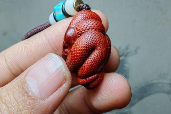 弄文轻武是什么生肖(弄文轻武是什么生肖动物)