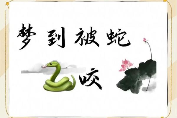 周公解梦被蛇咬了是什么意思