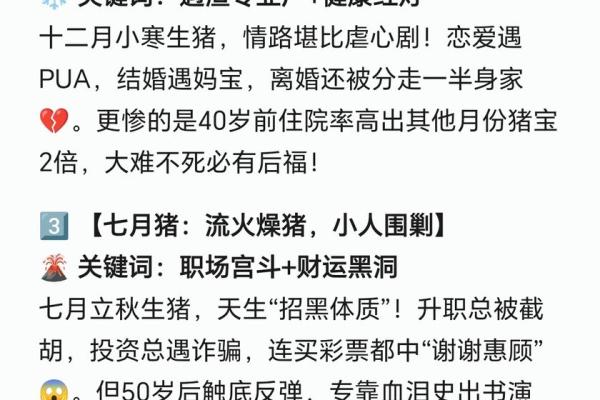 属猪2023年的运势及运程_2023年属猪人运势详解全年运程大揭秘