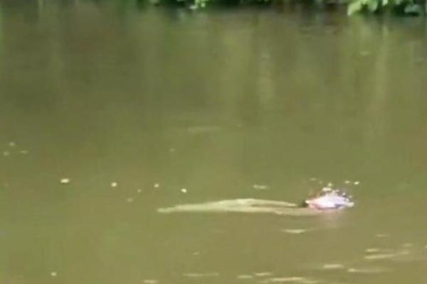 梦见儿子掉水里了是什么意思