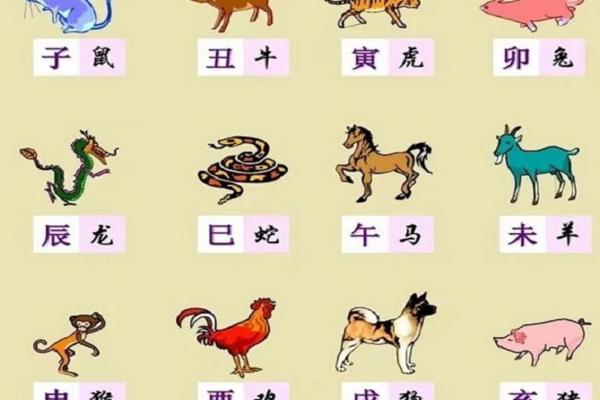 “一克容情”打一个生肖动物，一克容情是什么生肖答案解释释义落实