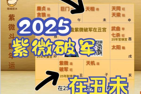 2025年4月29日午时男命紫微斗数全解盘