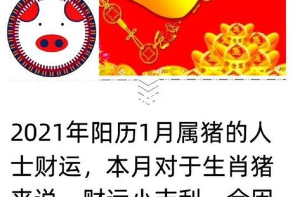 59年的猪在2025年的运势_2025年59年属猪人运势解析财运事业健康全揭秘