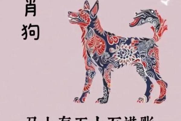 1994年属狗今日运势柱982年属狗女2025年_1994年属狗今日运势解析1982年属狗女2025年运程预测