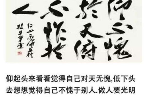 “仰不愧天”代表什么生肖，仰不愧天打一生肖答案解释释义落实