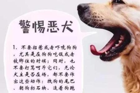 女人梦见狗咬出血有什么预兆