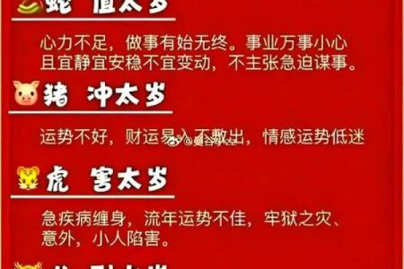 1995属猪女的子女缘_1995属猪女的子女缘解析命中注定还是后天努力