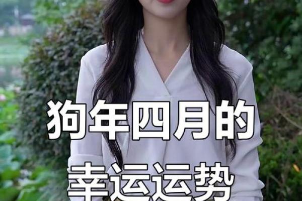 2024年生肖属狗的运势 2024年生肖属狗运势详解财运事业爱情全解析
