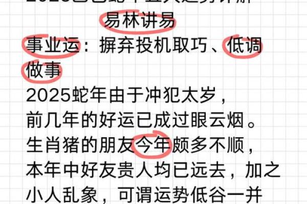71年属猪今年每月运势_71年属猪2025年运势