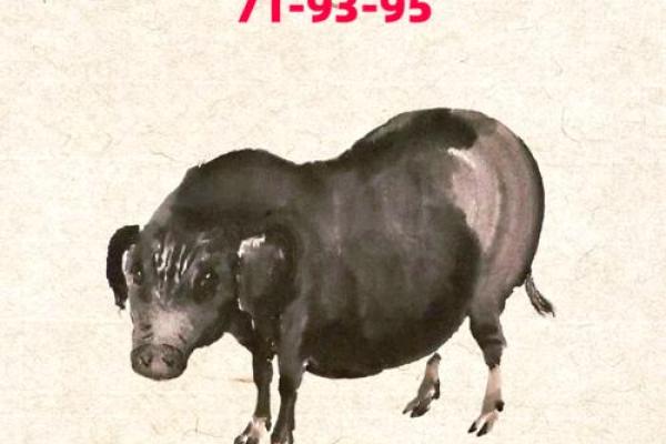 2025年属猪的多少岁_2025年属猪人年龄详解你几岁了