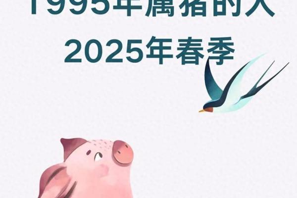 1995的猪在2025的运程 2025年1995年属猪人运势详解财运事业感情全解析