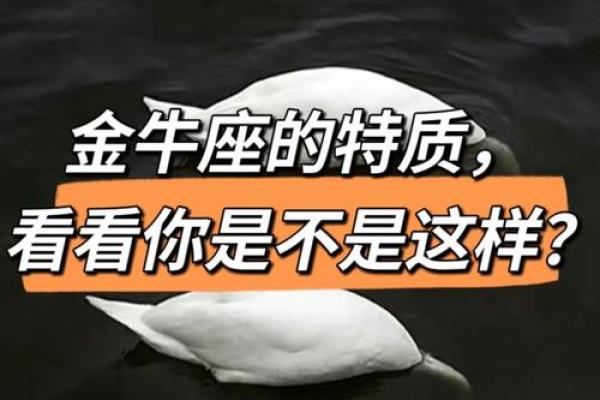 3月27日金牛座性格