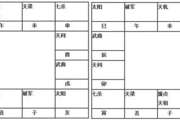 2025年4月20日巳时男命紫微斗数全解盘