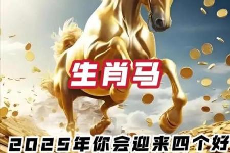 2026年属马人的全年运势详解_2025年属马人的全年运势1990出生