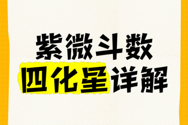 2025年4月29日酉时男命紫微斗数全解盘