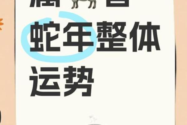 2025年属羊人注意什么 2025年属羊人运势解析注意事项与开运指南