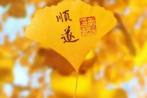 “如愿以偿”打一生肖是什么，如愿以偿是什么生肖答案解释释义落实