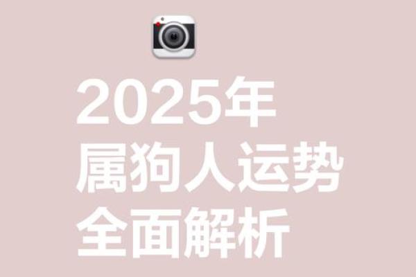 2025年属狗男孩高考运势解析06年出生者必看