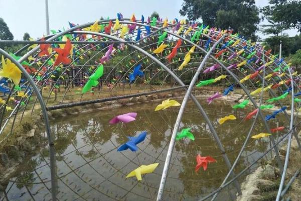 “混水摸鱼”打一准确生肖，混水摸鱼什么生肖答案解释释义落实